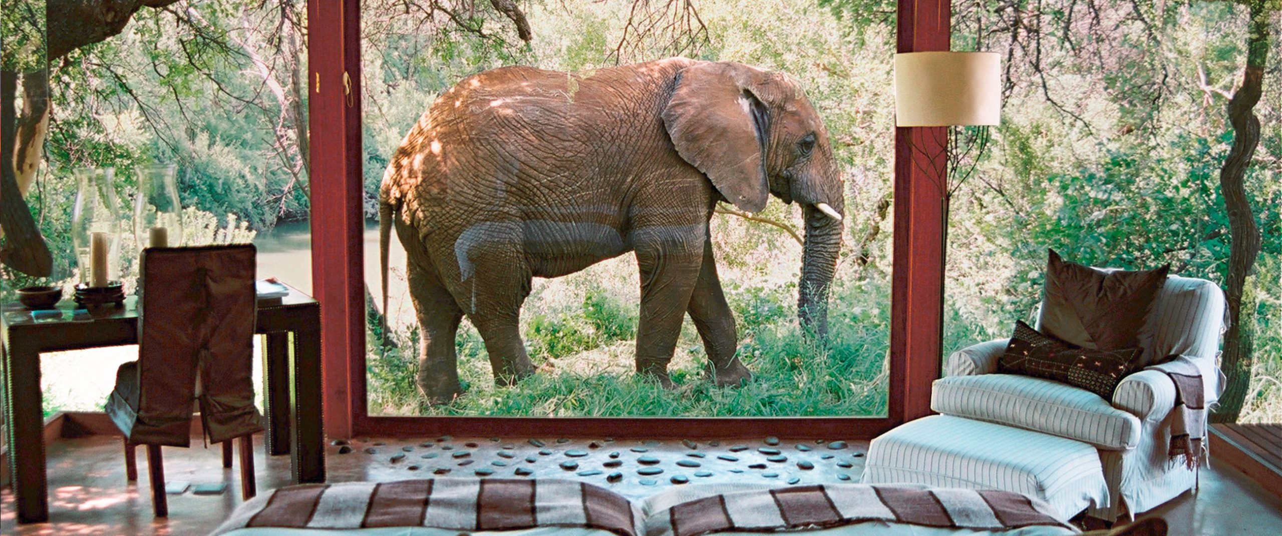 CITY LUXURY & ON SAFARI IN SOUTH AFRICA